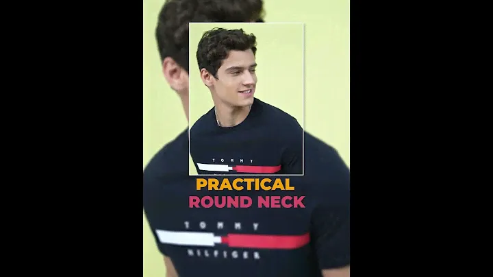 TOMMY HILFIGER Men's T-shirt